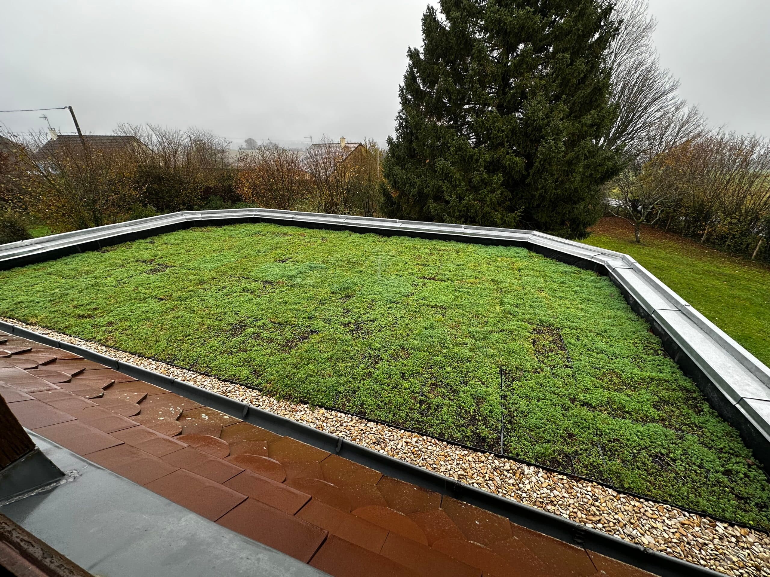 Toiture végétale